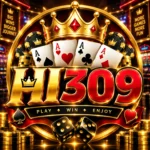 HI309_Game