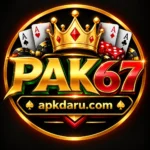 pak67-game-